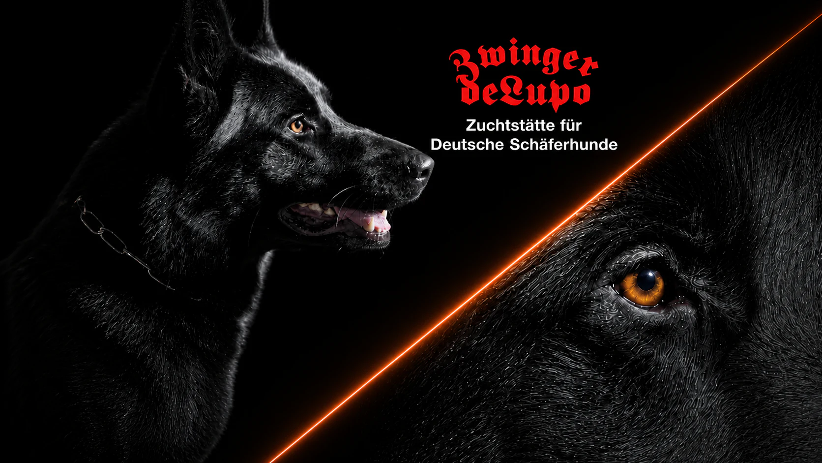 Zwinger deLupo mit schwarzem Schäferhund
