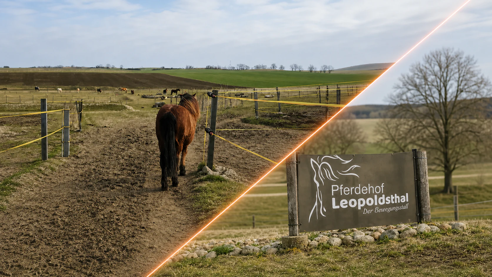 Website und Bildwelt des Pferdehofs Leopoldsthal
